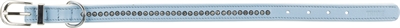 Trixie halsband hond active comfort | lichtblauw 23-28x1,5 cm
