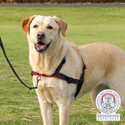 Trixie hondentuig lead'n'walk soft zwart | 45-70x2,5 cm