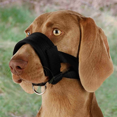 Trixie snuitje nylon | zwart 20-30 cm (2 st)