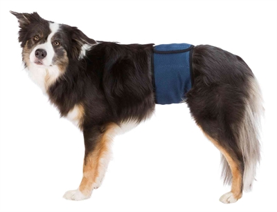 Trixie plasband voor reuen | mesh donkerblauw s-m 37-45 cm 2 st