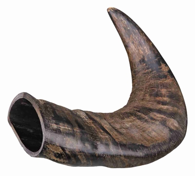 Trixie kauwhoorn van de buffel m | 6 stuks
