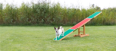 Trixie agility wip | 300x34x54 cm