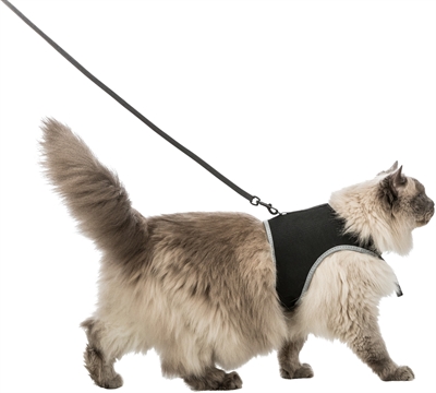 Trixie softtuig kat met riem zwart | 36-54 cm, 120 cm, 2 st