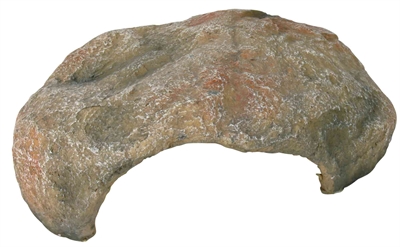Trixie reptiland reptielen-schuilplaats | 30x25x10 cm