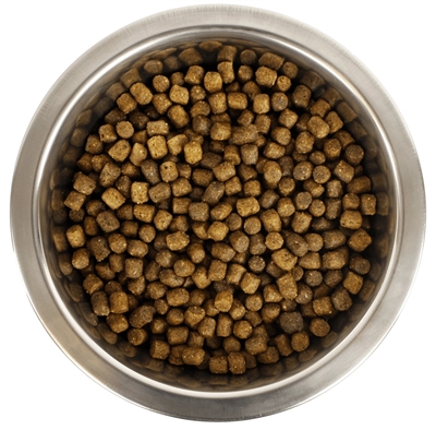 Yourdog koningspoedel pup | 3 kg