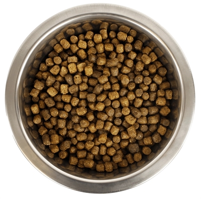 Yourdog dwerg- of toypoedel pup | 3 kg