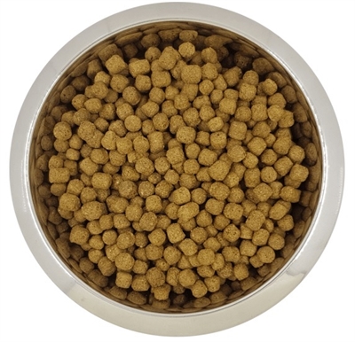 Yourdog dwerg- of toypoedel volwassen | 3 kg