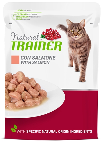 Natural trainer cat adult salmon pouch