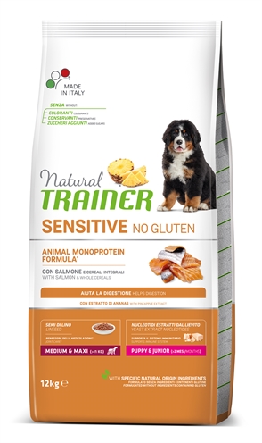 Natural trainer dog puppy / junior medium / maxi sensitive salmon