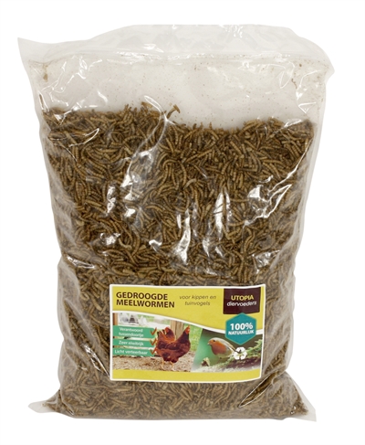 Utopia meelwormen voor kippen en tuinvogels | 1 kg