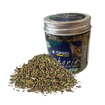 Croci euphoria catnip pot | 25 gr