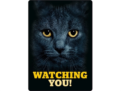 Plenty gifts waakbord blik zwarte kat 21x15 cm | watching you