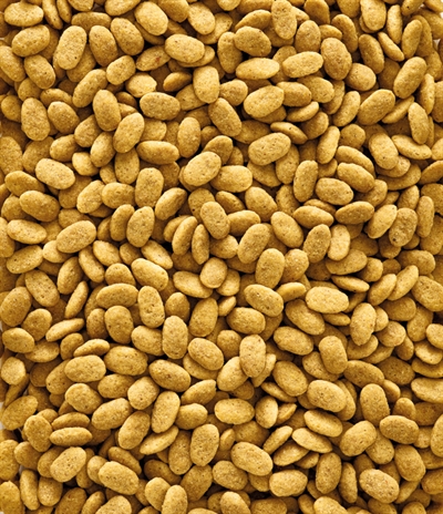 Nutribird p15 onderhoudsvoeder | 1kg