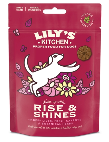 Lily's kitchen dog rise & shine baked treat