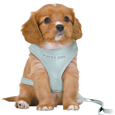 Trixie hondentuig junior puppy softtuig mintgroen | 36-50x1 cm / 2 mtr