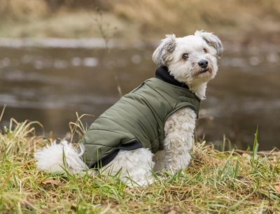 Trixie hondenjas arlay donkergroen