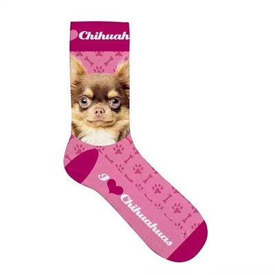 Plenty gifts sokken chihuahua roze