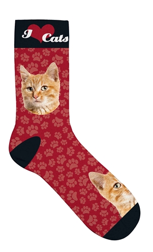 Zzzplenty gifts sokken oranje katten rood