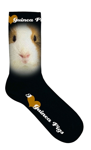 Zzzplenty gifts sokken cavia