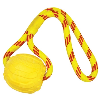 Happy pet bal aan touw drijvend geel