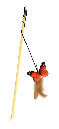 Croci kattenhengel vlinder
