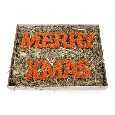 Cupid & comet merry christmas forage tray