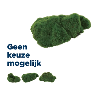 Zolux ornament kiezelsteen groeiend decor | 3x7x9,5 cm