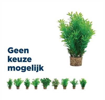 Zolux ornament pastic plant op stenen | 20x10x10 cm neutraal assorti