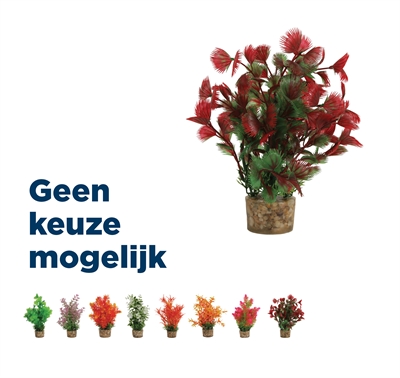 Zolux ornament plastic plant op stenen 20x10x10 cm | assorti