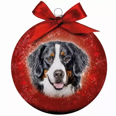 Plenty gifts kerstbal frosted berner sennen rood