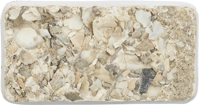 Trixie piksteen met schelpen | 30 gr mineralen en mosselen