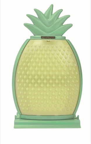 Fofos ananas kitty comber