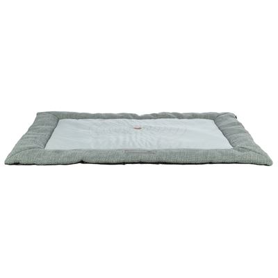 Trixie ligmat viviana blauwgrijs | 120x80 cm