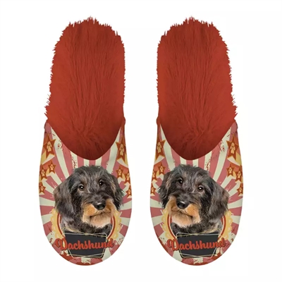 Merkloos pantoffel dachshund teckel oranje | maat 39-42