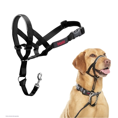 The company of animals halti headcollar nr 3 zwart – voor honden 40-54 cm