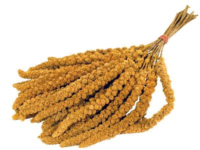 Versele-laga prestige trosgierst | 300 gr