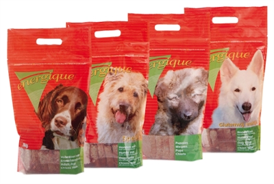 Energique nr 2 puppy