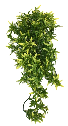 Komodo croton plant | 40 cm kunstplant