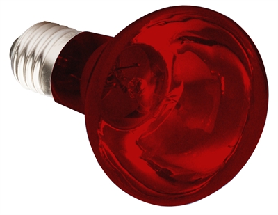 Komodo infrarood warmlamp es | 75 watt
