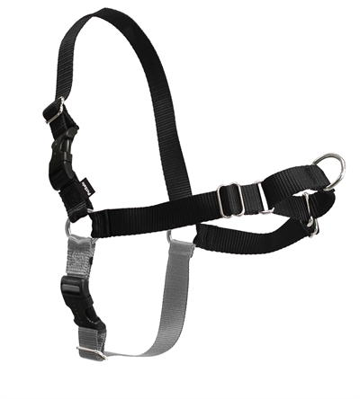 Petsafe easy walk anti-trek tuig zwart | m