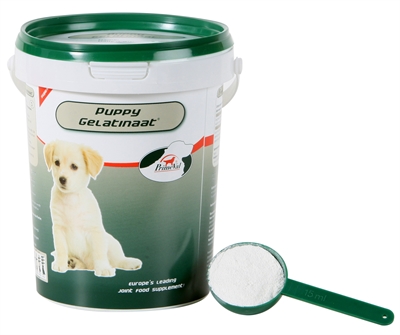 Primeval gelatinaat puppy | 350 gr