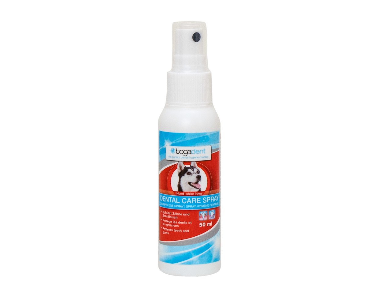 Bogadent hond dental care spray