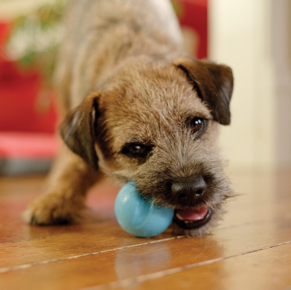 West paw zogoflex jive bal large 8,25 cm – aqua blauw