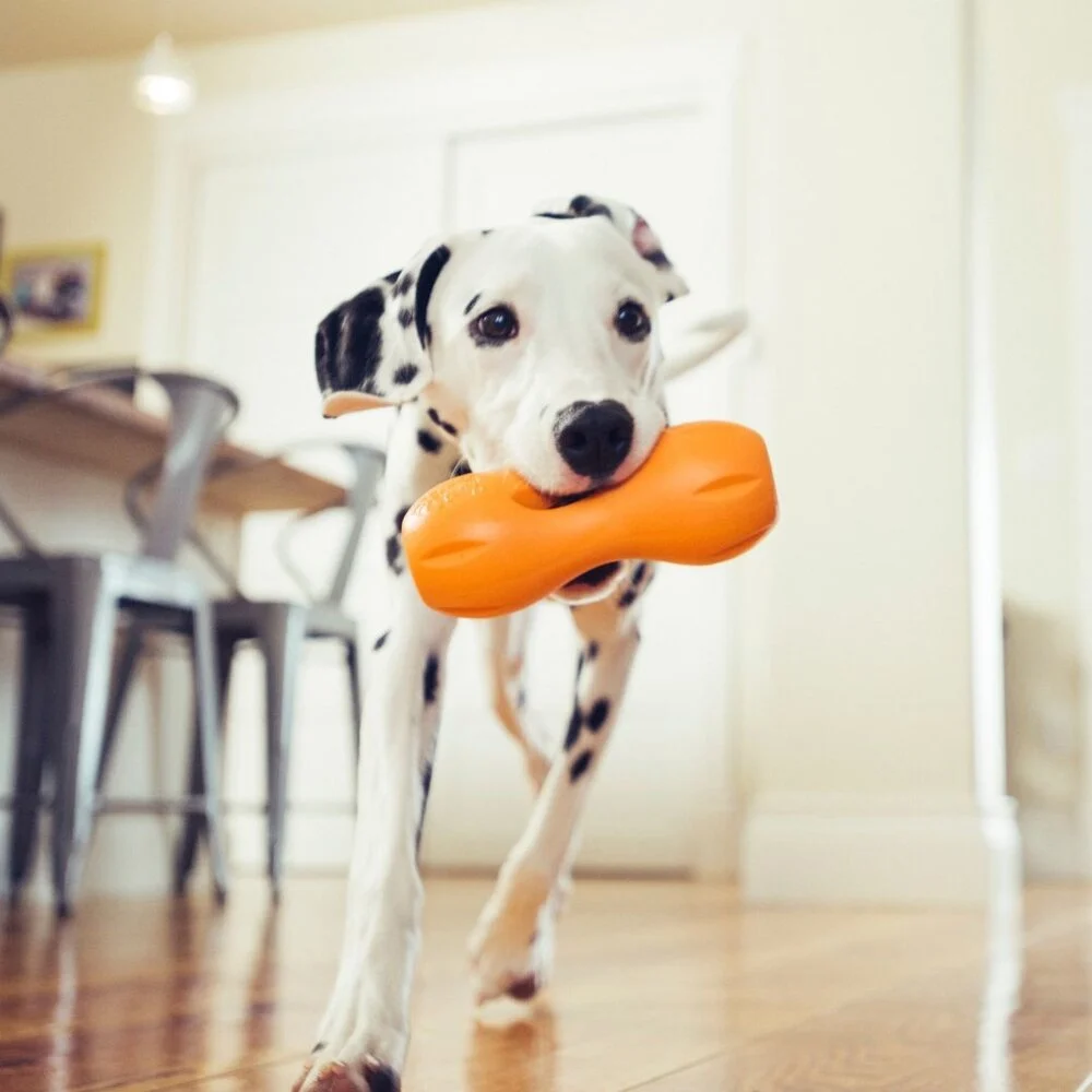 West paw honden speelgoed zogoflex qwizl s/l – tangerine oranje 17 cm