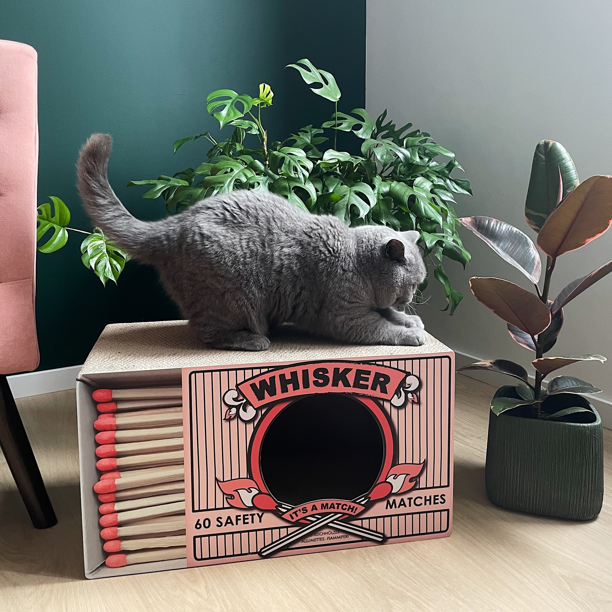 District 70 krabmeubel whisker 55×29 cm – wit, zwart, roze