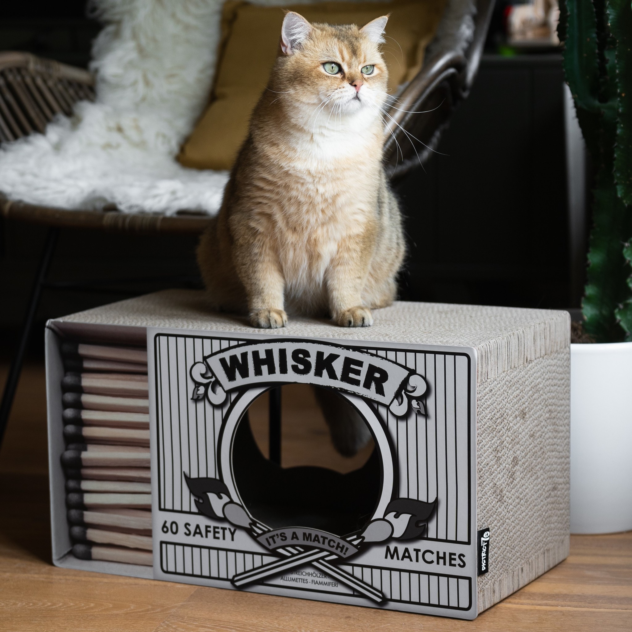 District 70 whisker kartonnen krabmeubel | wit, zwart, roze