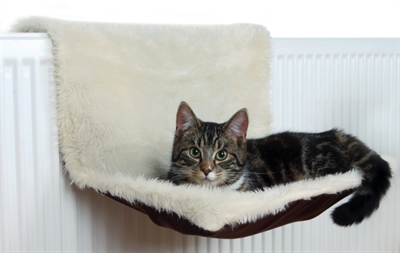 TRIXIE Radiatorhangmat Pluche - Zacht velours, verstelbare beugels 9–12 cm, wasbare bekleding - Creme/Bruin - 45x26x31 cm