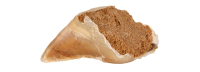 TRIXIE KAUWHOEF MET VULLING 115 G