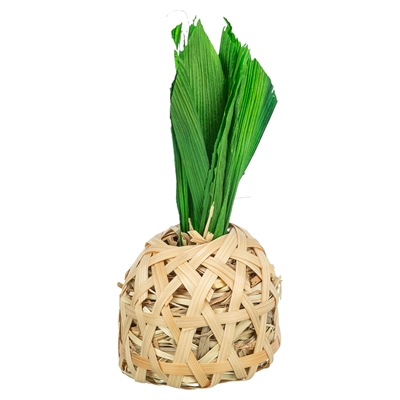 TRIXIE Knaagspeeltje Ananas Bamboe - gevuld met hooi, bamboe & maïsbladeren, 100% natuurlijk - 6,5x6,5x14 cm