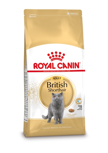 ROYAL CANIN Kattenvoer British Shorthair Adult - Ondersteunt spiermassa, gewrichten & gebitshygiëne - 2 kg